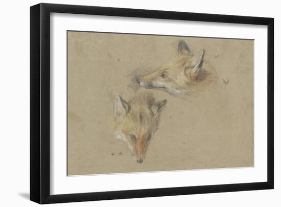 Etude de deux têtes de renards-Pieter Boel-Framed Giclee Print