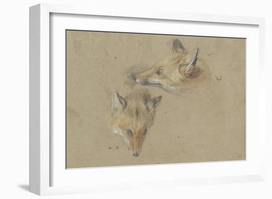 Etude de deux têtes de renards-Pieter Boel-Framed Giclee Print
