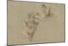 Etude de deux têtes de renards-Pieter Boel-Mounted Giclee Print