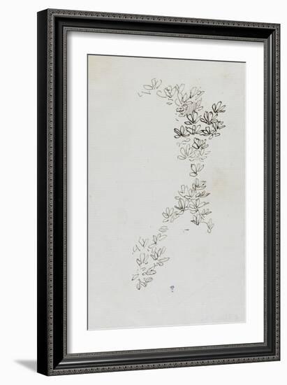 Etude de feuillage-Thomas Couture-Framed Giclee Print