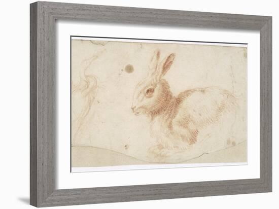 Etude de héron et de lapin-Arnould de Vuez-Framed Giclee Print