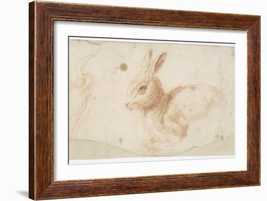 Etude de héron et de lapin-Arnould de Vuez-Framed Giclee Print