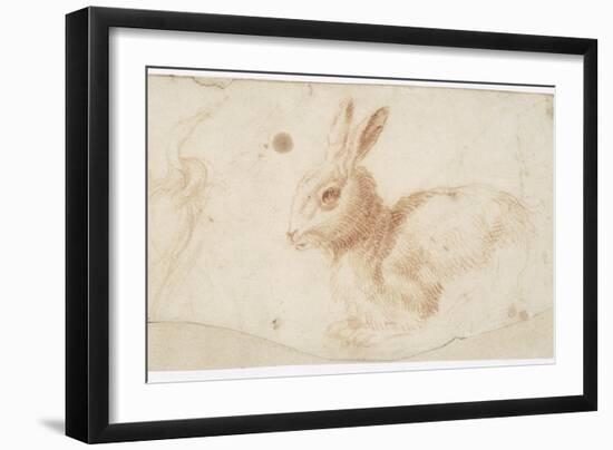 Etude de héron et de lapin-Arnould de Vuez-Framed Giclee Print