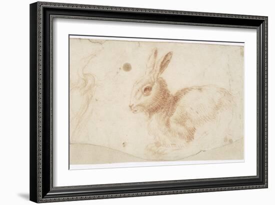 Etude de héron et de lapin-Arnould de Vuez-Framed Giclee Print