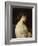 Etude de jeune fille dit la jeune grecque-Hippolyte Flandrin-Framed Giclee Print