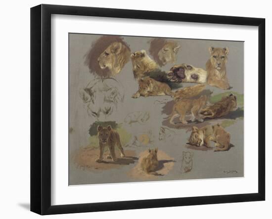 Etude de lions, de lionnes et de lionceaux, 17 esquisses-Rosa Bonheur-Framed Giclee Print