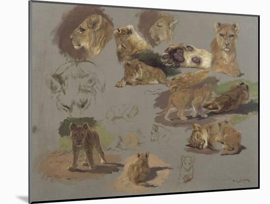 Etude de lions, de lionnes et de lionceaux, 17 esquisses-Rosa Bonheur-Mounted Giclee Print