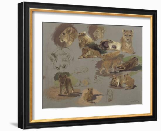 Etude de lions, de lionnes et de lionceaux, 17 esquisses-Rosa Bonheur-Framed Giclee Print