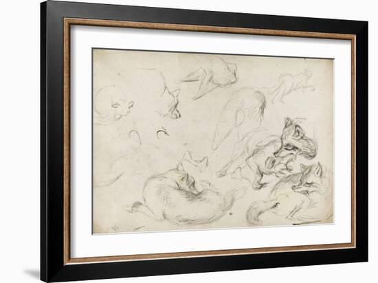 Etude de loups-Pieter Boel-Framed Giclee Print