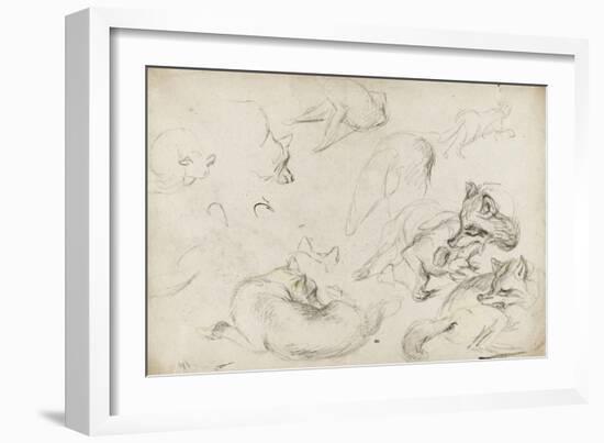 Etude de loups-Pieter Boel-Framed Giclee Print