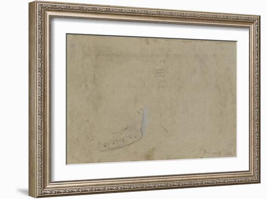 Etude de plumes de paon-Pieter Boel-Framed Giclee Print