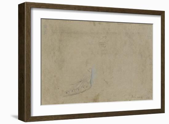 Etude de plumes de paon-Pieter Boel-Framed Giclee Print