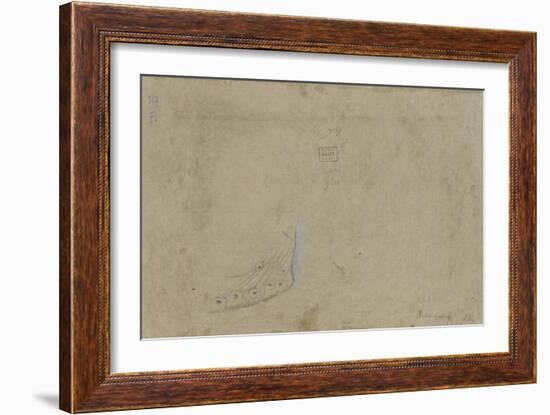 Etude de plumes de paon-Pieter Boel-Framed Giclee Print