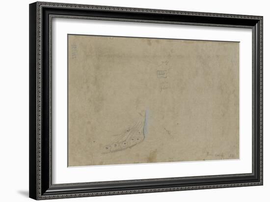 Etude de plumes de paon-Pieter Boel-Framed Giclee Print