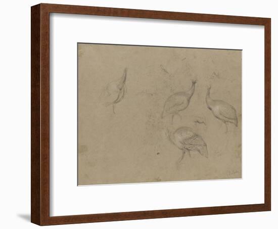 Etude de quatre pintades-Pieter Boel-Framed Giclee Print