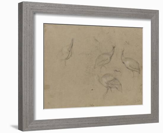 Etude de quatre pintades-Pieter Boel-Framed Giclee Print