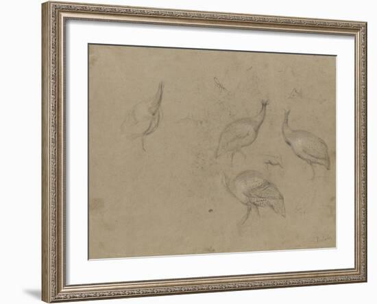 Etude de quatre pintades-Pieter Boel-Framed Giclee Print