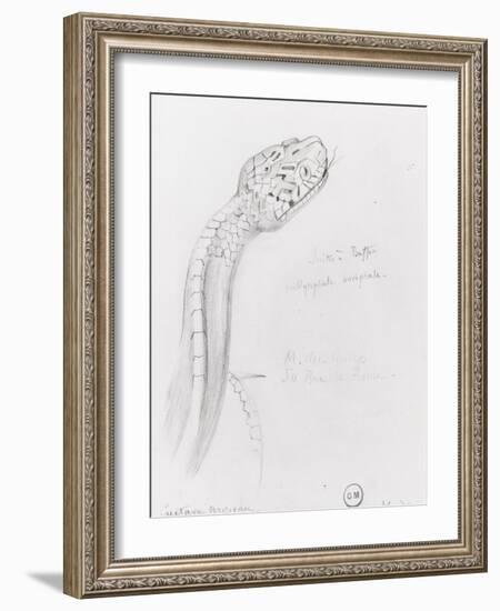 Etude de serpent pour Hercule et l'hydre de Lerne-Gustave Moreau-Framed Giclee Print