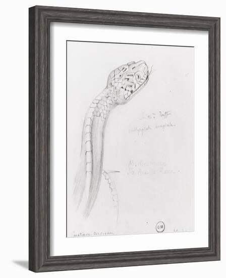 Etude de serpent pour Hercule et l'hydre de Lerne-Gustave Moreau-Framed Giclee Print