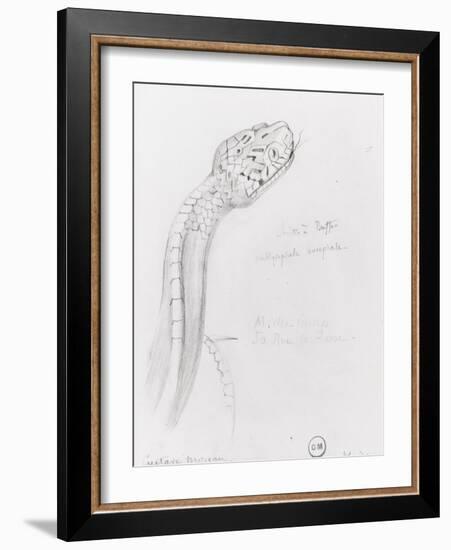 Etude de serpent pour Hercule et l'hydre de Lerne-Gustave Moreau-Framed Giclee Print