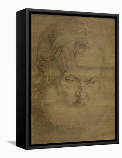 Etude de tête d'homme barbu pour l'apôtre Pierre du tableau de Munich-Albrecht Dürer-Framed Premier Image Canvas