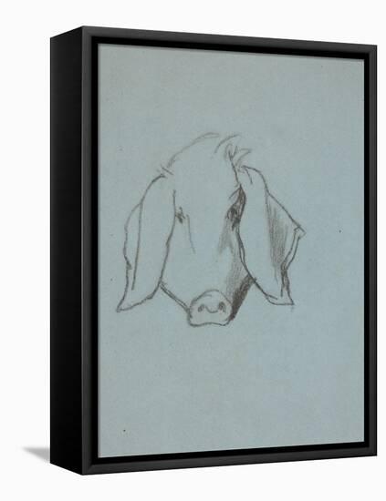 Etude de tête de cochon-Thomas Couture-Framed Premier Image Canvas