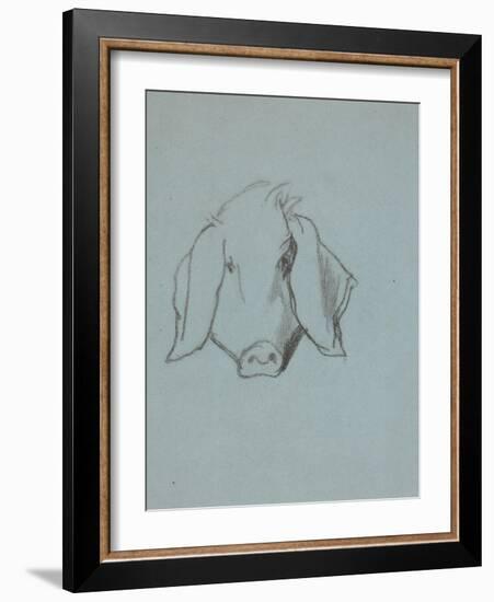 Etude de tête de cochon-Thomas Couture-Framed Giclee Print