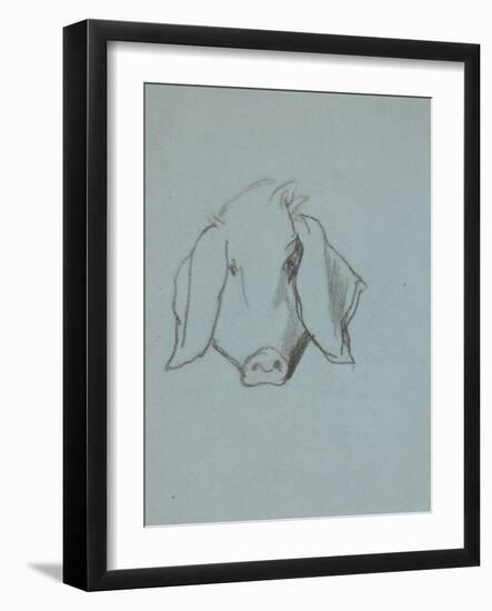 Etude de tête de cochon-Thomas Couture-Framed Giclee Print