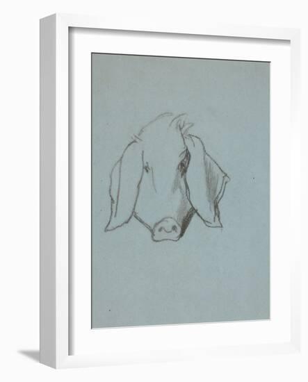 Etude de tête de cochon-Thomas Couture-Framed Giclee Print