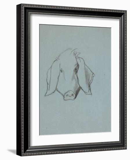 Etude de tête de cochon-Thomas Couture-Framed Giclee Print