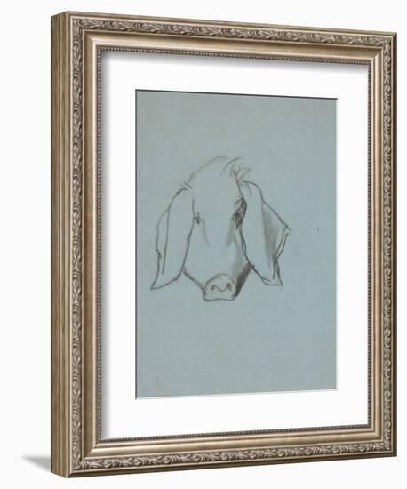 Etude de tête de cochon-Thomas Couture-Framed Giclee Print