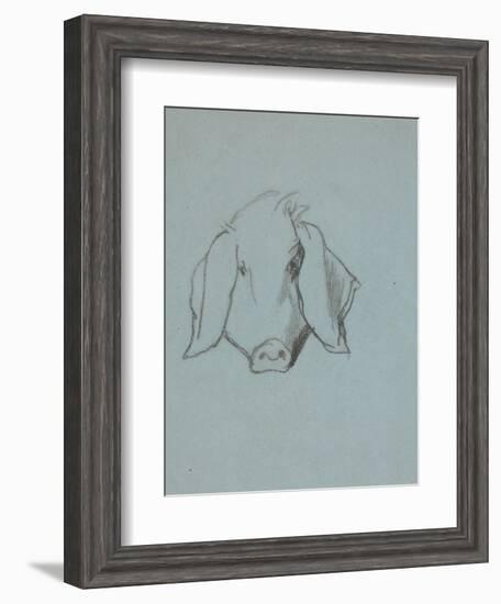 Etude de tête de cochon-Thomas Couture-Framed Giclee Print