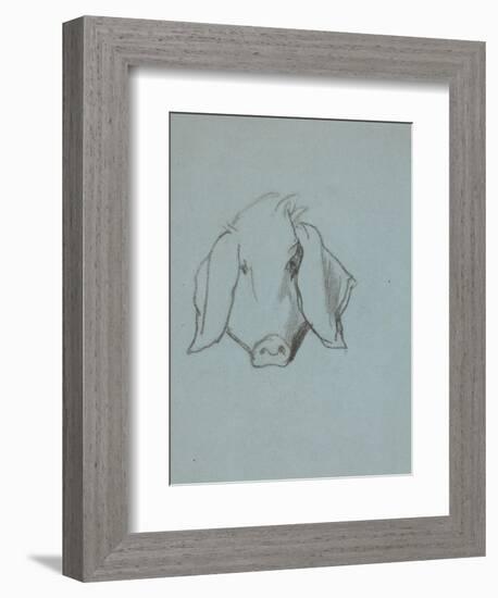 Etude de tête de cochon-Thomas Couture-Framed Giclee Print