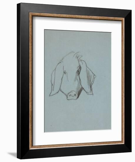 Etude de tête de cochon-Thomas Couture-Framed Giclee Print