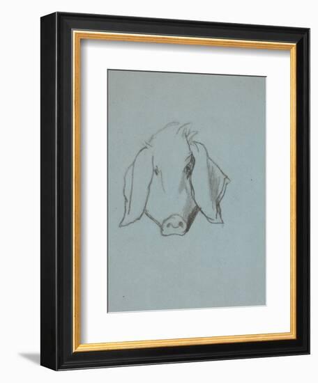 Etude de tête de cochon-Thomas Couture-Framed Giclee Print