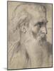 Etude de tête pour Moïse en vue de la terre promise-Gustave Moreau-Mounted Giclee Print