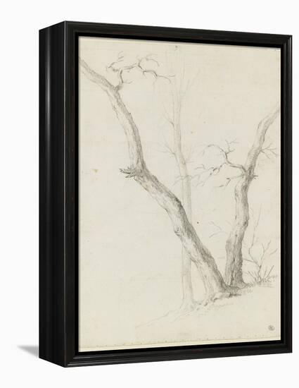 Etude de trois arbres dépouillés de leurs feuilles-Pierre Henri de Valenciennes-Framed Premier Image Canvas