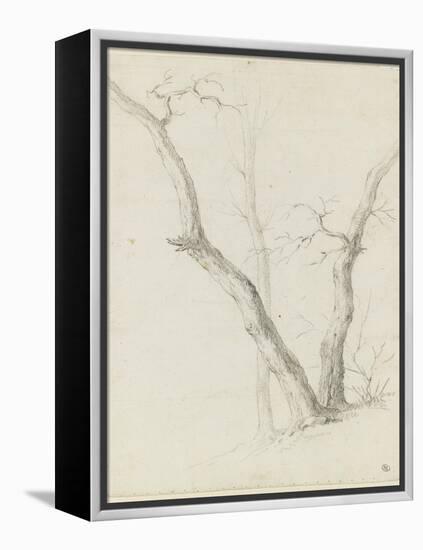 Etude de trois arbres dépouillés de leurs feuilles-Pierre Henri de Valenciennes-Framed Premier Image Canvas