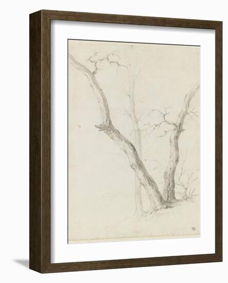 Etude de trois arbres dépouillés de leurs feuilles-Pierre Henri de Valenciennes-Framed Giclee Print