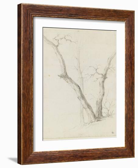 Etude de trois arbres dépouillés de leurs feuilles-Pierre Henri de Valenciennes-Framed Giclee Print