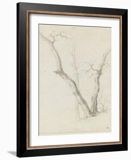 Etude de trois arbres dépouillés de leurs feuilles-Pierre Henri de Valenciennes-Framed Giclee Print