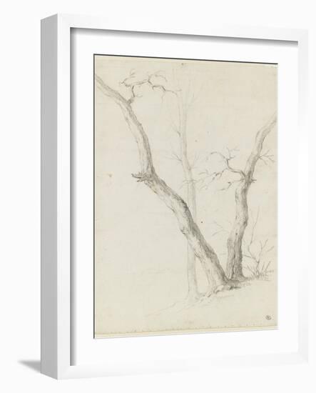 Etude de trois arbres dépouillés de leurs feuilles-Pierre Henri de Valenciennes-Framed Giclee Print