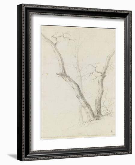 Etude de trois arbres dépouillés de leurs feuilles-Pierre Henri de Valenciennes-Framed Giclee Print