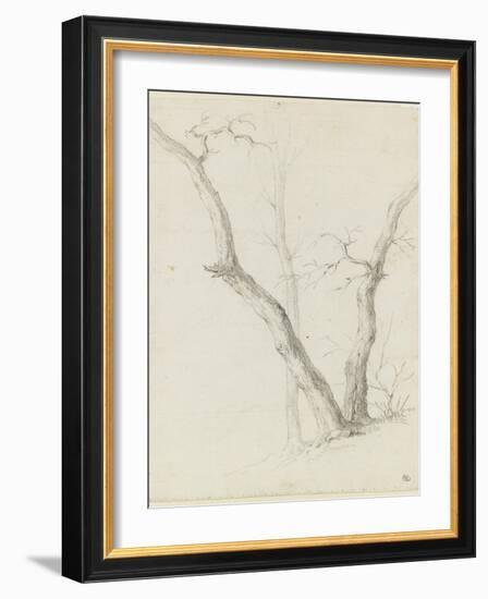 Etude de trois arbres dépouillés de leurs feuilles-Pierre Henri de Valenciennes-Framed Giclee Print