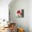 Etude en Rouge II-Pamela Gladding-Framed Stretched Canvas displayed on a wall