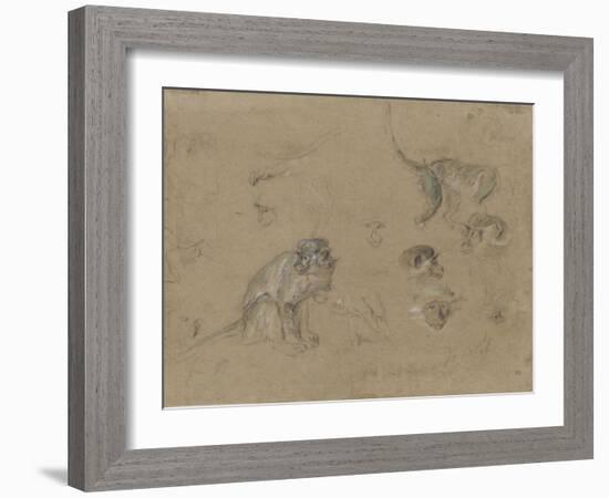 études d'après un singe-Pieter Boel-Framed Giclee Print