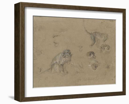 études d'après un singe-Pieter Boel-Framed Giclee Print