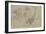 Etudes d'autruches-Pieter Boel-Framed Giclee Print