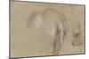 Etudes d'un éléphant, pied et corps vu de dos-Pieter Boel-Mounted Giclee Print