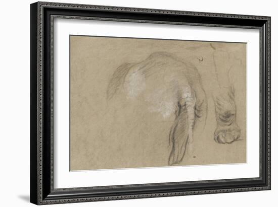 Etudes d'un éléphant, pied et corps vu de dos-Pieter Boel-Framed Giclee Print